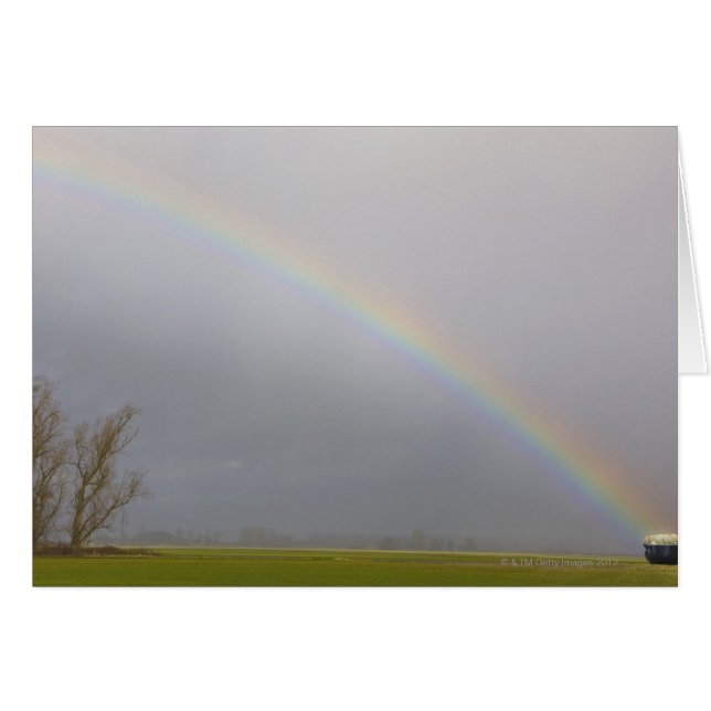 Ein Topf Gold sitzt am Ende eines Regenbows (Vorderseite (Horizontal))