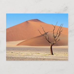 Ein toter Baum in einer Wüstenebene mit Dünen Postkarte