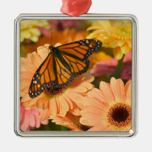 Ein Trauer-Mantel-Schmetterling Ornament Aus Metall