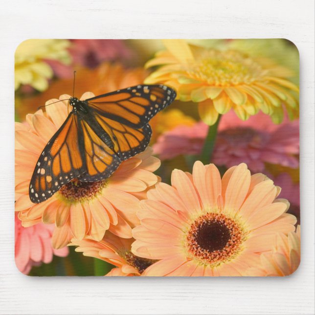 Ein Trauermantel Schmetterling Mousepad (Vorne)