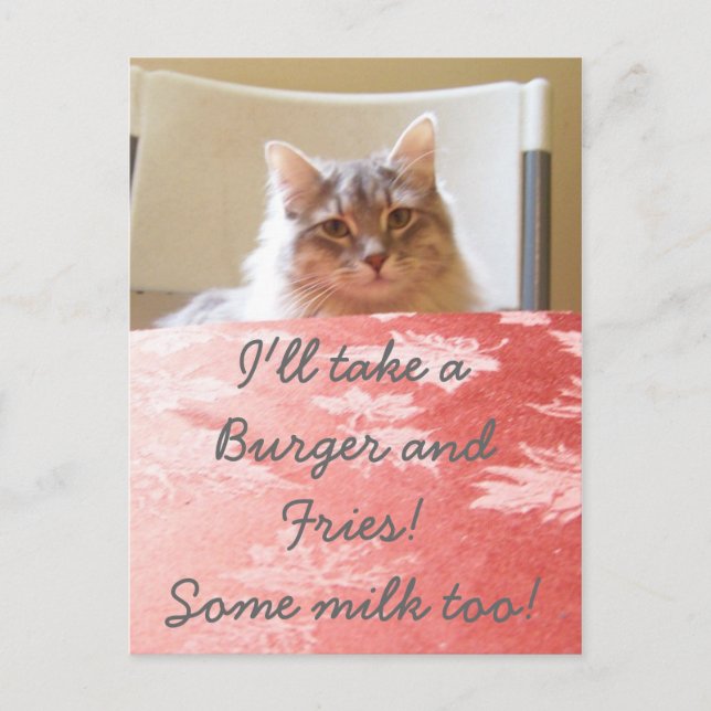 Ein Traum für Kätzchen! Postkarte (Vorderseite)