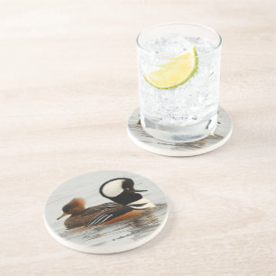 Ein Treffen der gehobenen Merganser Enten am Teich Getränkeuntersetzer