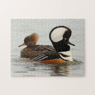 Ein Treffen gehobener Merganser-Enten Puzzle