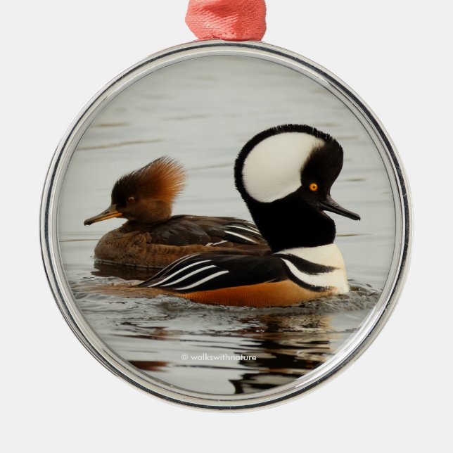 Ein Treffen gehobener Merganser Silbernes Ornament (Vorne)