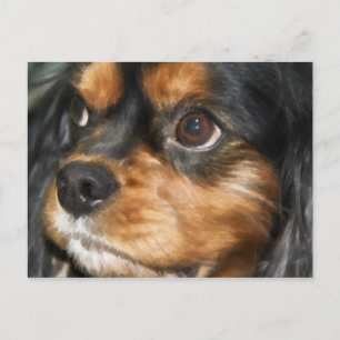 Ein treuer Hund Cavalier King Charles Spaniel Post Postkarte