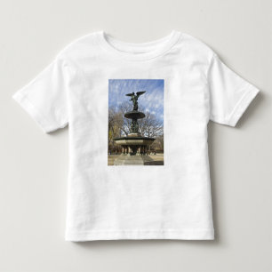 Ein trockener Winter Bethesda Fountain im Central Kleinkind T-shirt