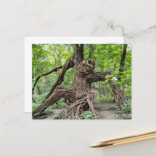 Ein Troll im Wald Postkarte