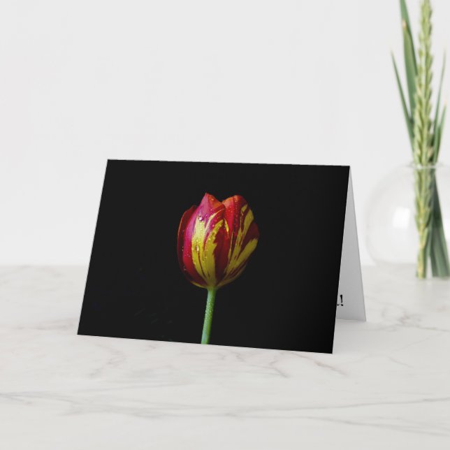 Ein Tulip - Karte (Vorderseite)