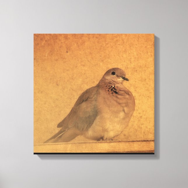 Ein unschuldiger Moment Leinwanddruck (Vorderseite)