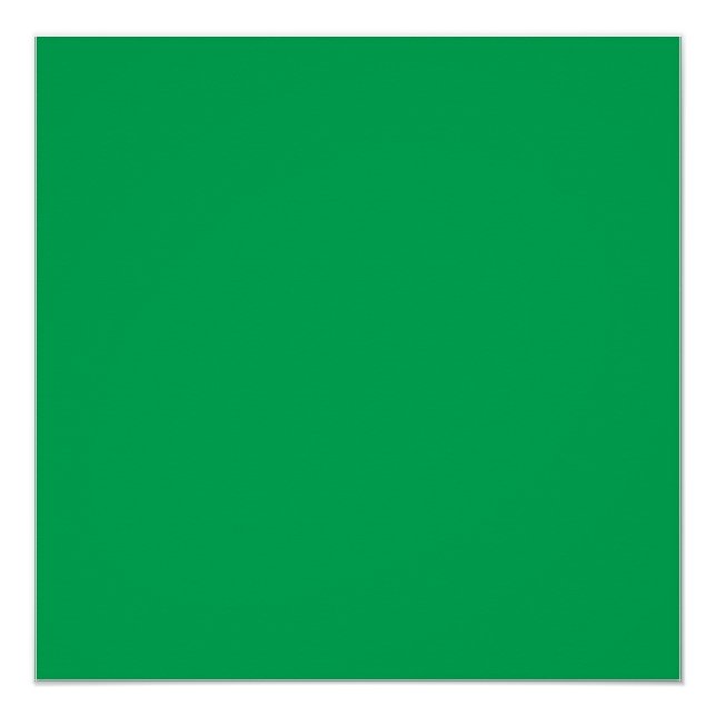 Ein üppiger, grüner Farn mit zartem, verzaubertem  Poster (Vorderseite)