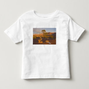 Ein Utah-Wacholder (Juniperus osteosperma) Baum in Kleinkind T-shirt