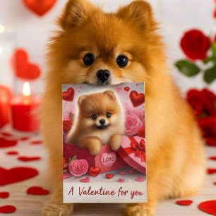 Ein Valentinstag für dich süßer Pomeranian-Hund Feiertagspostkarte