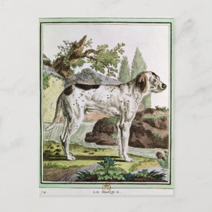 Ein Verweis, Abbildung aus "Histoire Postkarte