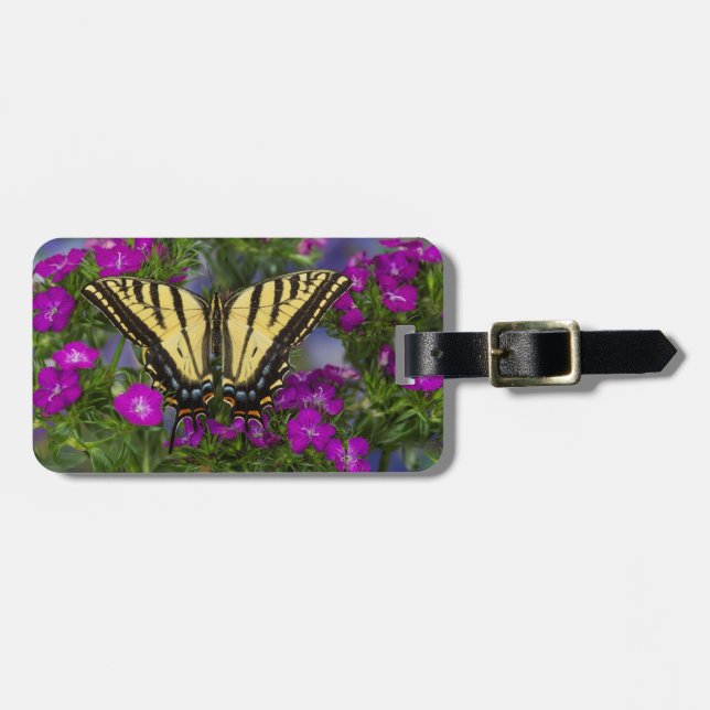 Ein Viceroy Butterfly auf dunkelrosa Blume Gepäckanhänger (Vorderseite horizontal)