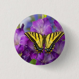 Ein Viceroy Butterfly auf Lila Glads Button