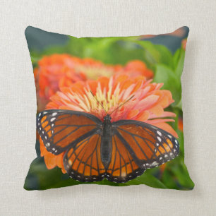 Ein Viceroy Butterfly auf Orange Zinnias Kissen