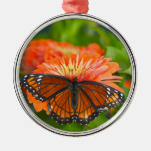 Ein Viceroy Butterfly auf Orange Zinnias Ornament Aus Metall