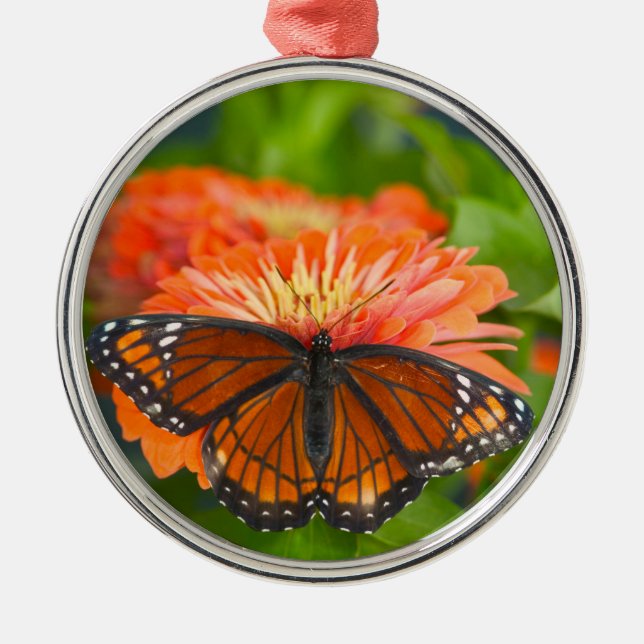 Ein Viceroy Butterfly auf Orange Zinnias Ornament Aus Metall (Vorne)
