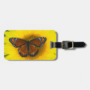 Ein Viceroy Butterfly   Limenitis Archippus Gepäckanhänger