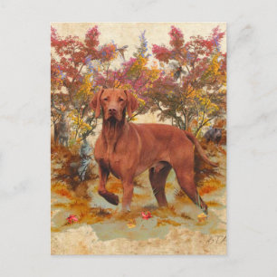 Ein vielseitiger Aristokrat in Ungarisch Vizsla Feiertagspostkarte