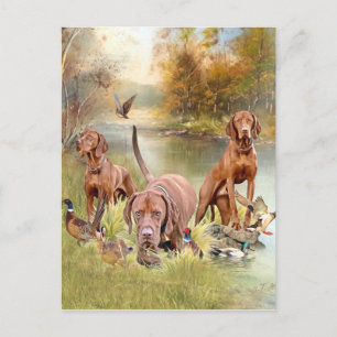 Ein vielseitiger Aristokrat in Ungarisch Vizsla Feiertagspostkarte