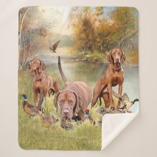 Ein vielseitiger Aristokrat in Ungarisch Vizsla Sherpadecke