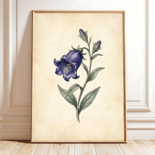 Ein Vintage Botanischer Kunst Druck Poster