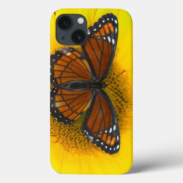 Ein Vizekönig-Schmetterling| Limenitis Archippus Case-Mate iPhone Hülle (Rückseite)