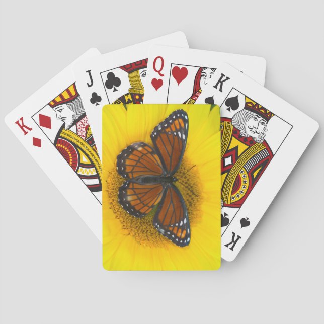 Ein Vizekönig-Schmetterling| Limenitis Archippus Spielkarten (Rückseite)