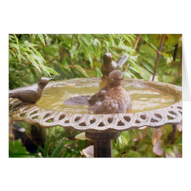 Ein Vogel im Bad (Vorderseite (Horizontal))