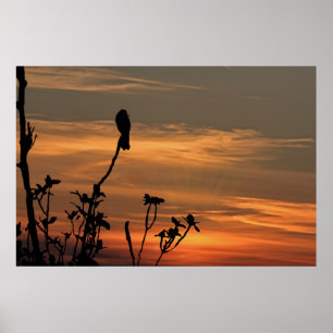 ein Vogel im Baum am Sonnenuntergang Poster