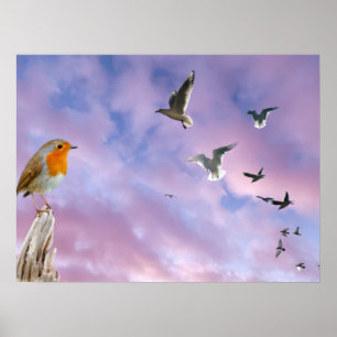 Ein Vogel schaut auf den wunderschönen HimmelsSonn Poster