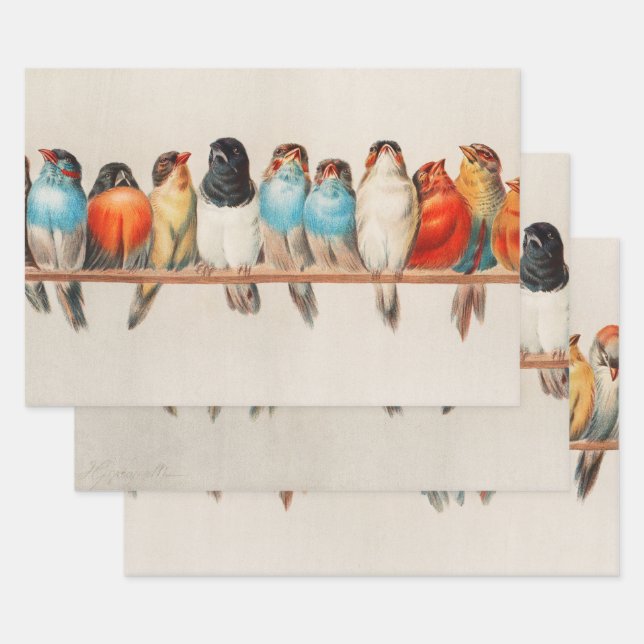 Ein Vogelpark, 1880 von Hector Giacomelli Geschenkpapier Set (Set)