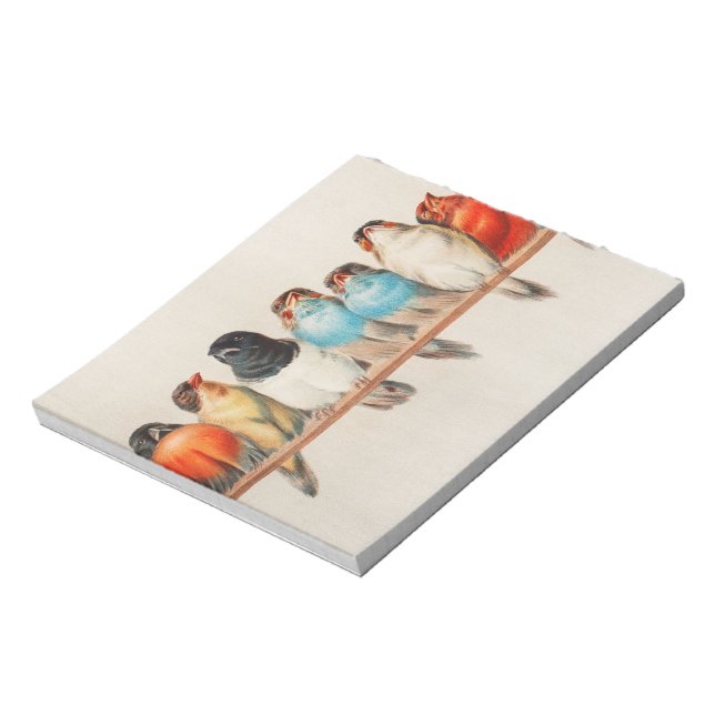 Ein Vogelpark, 1880 von Hector Giacomelli Notizblock (Rotiert)