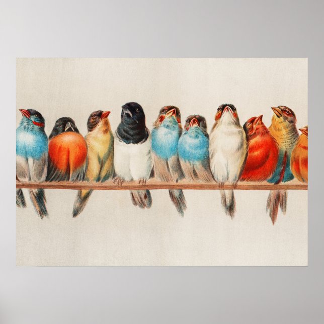 Ein Vogelpark, 1880 von Hector Giacomelli Poster (Vorne)