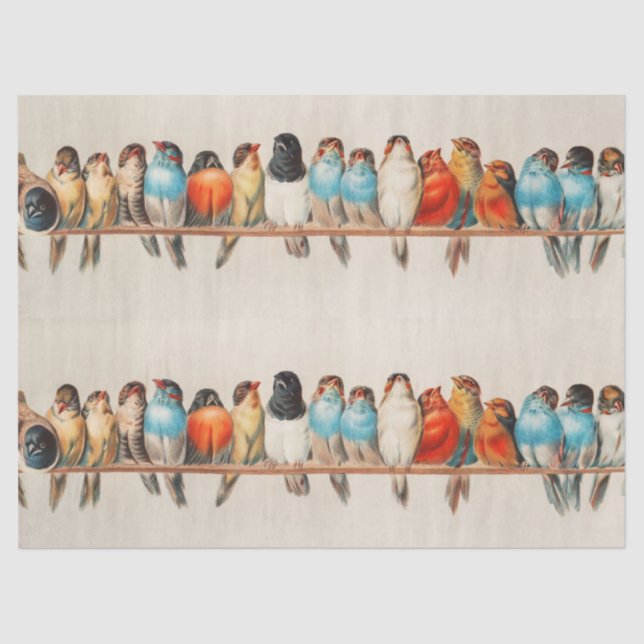 Ein Vogelpark, 1880 von Hector Giacomelli Seidenpapier (Vorderseite)