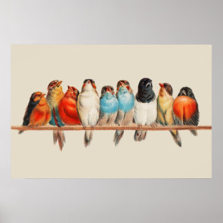 Ein Vogelrastplatz-Poster Poster