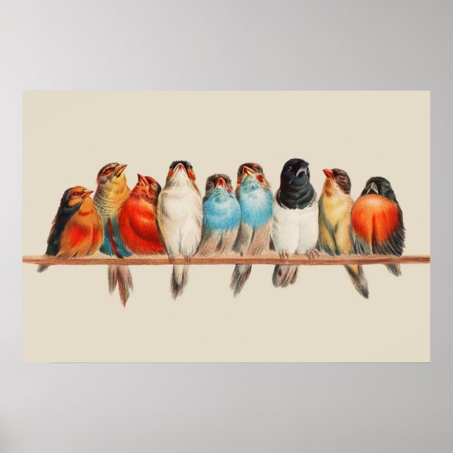 Ein Vogelrastplatz-Poster Poster (Vorne)