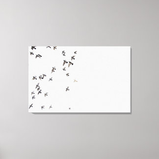 Ein Vogelschwarm fliegt am Himmel Leinwanddruck