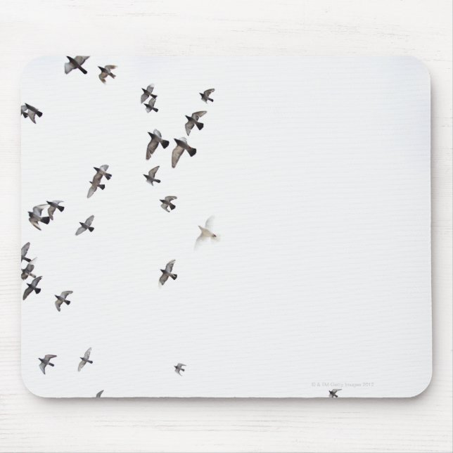 Ein Vogelschwarm fliegt am Himmel Mousepad (Vorne)