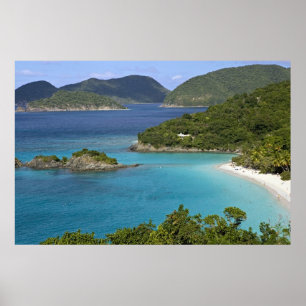 Ein  von Caneel Bay von einer Straße in St. John Poster