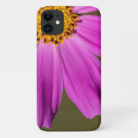 Ein von Frühling zur Hand!