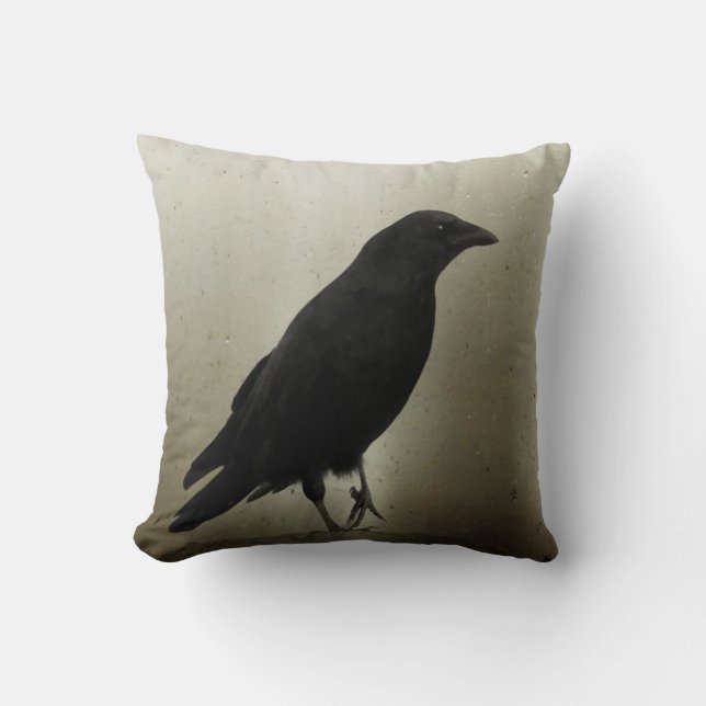 Ein Vortrag Kissen (Vorderseite)