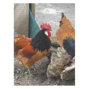 Ein Vorwerks-Hühnerpaar, Rooster und Hen-Eating Tischdecke