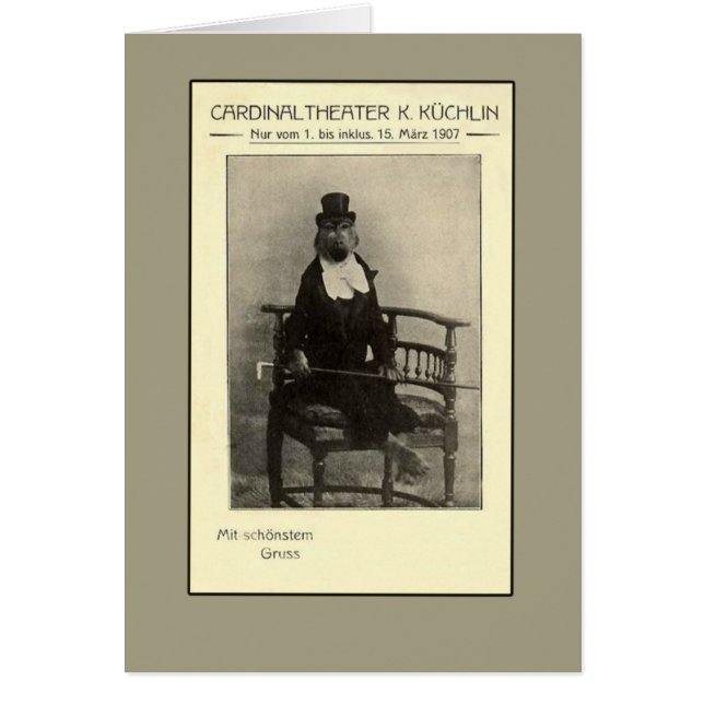 Ein wahrer Unsinn - Ein Affe im Anzug (Vorne)