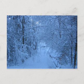 Ein Wald im Winter Postkarte