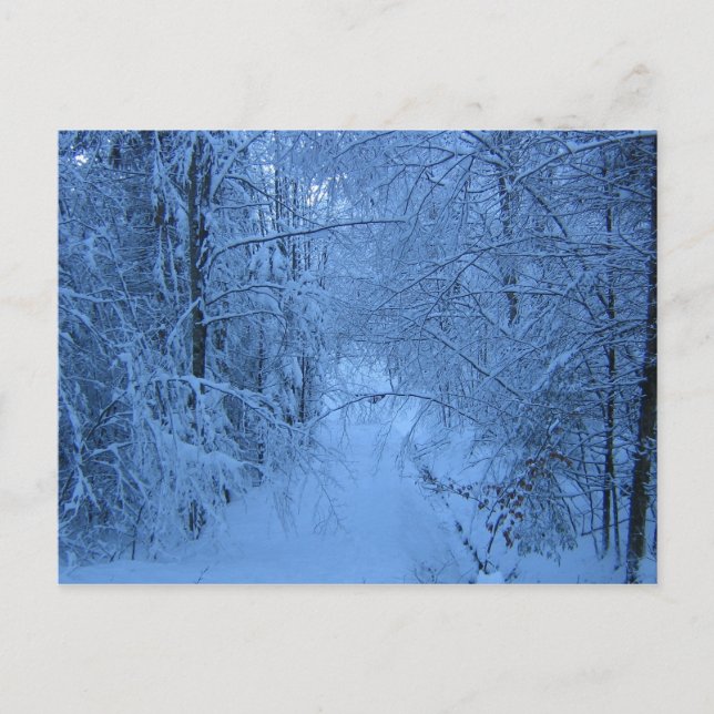 Ein Wald im Winter Postkarte (Vorderseite)