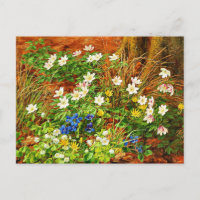 Ein Waldboden mit Anemonen und Violetten