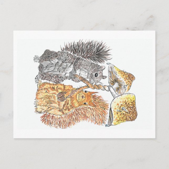 Ein Waldspaziergang | Eichhörnchen Postkarte (Vorderseite)