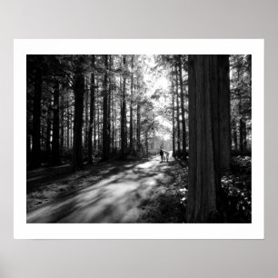 Ein Waldspaziergang: Mizumoto Park, Tokio Poster